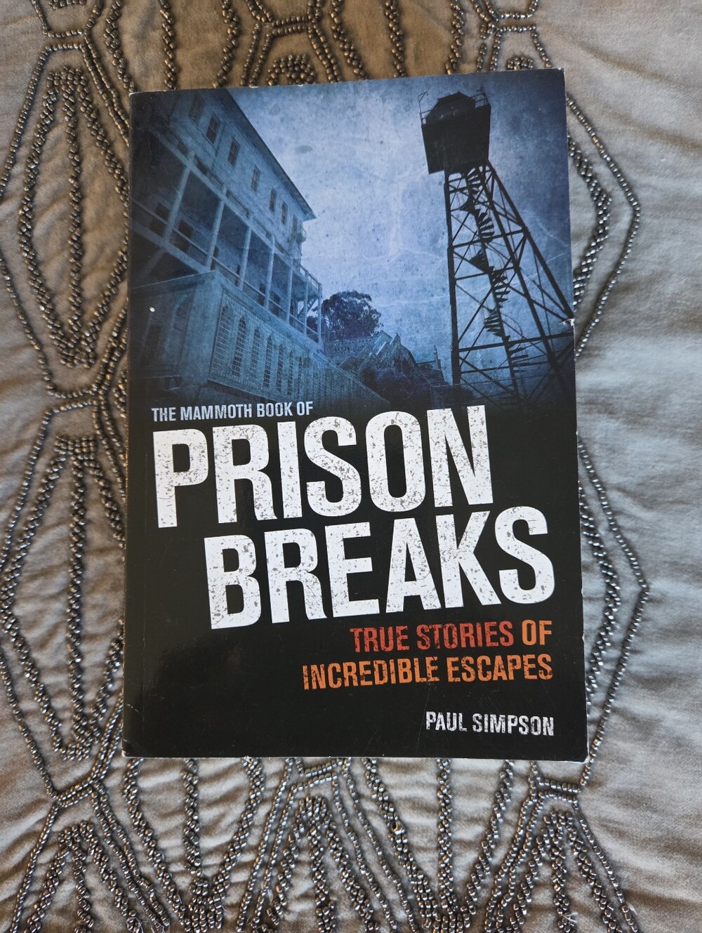 The Mammoth Book of Prison Breaks: True Stories of Incredible Escapes